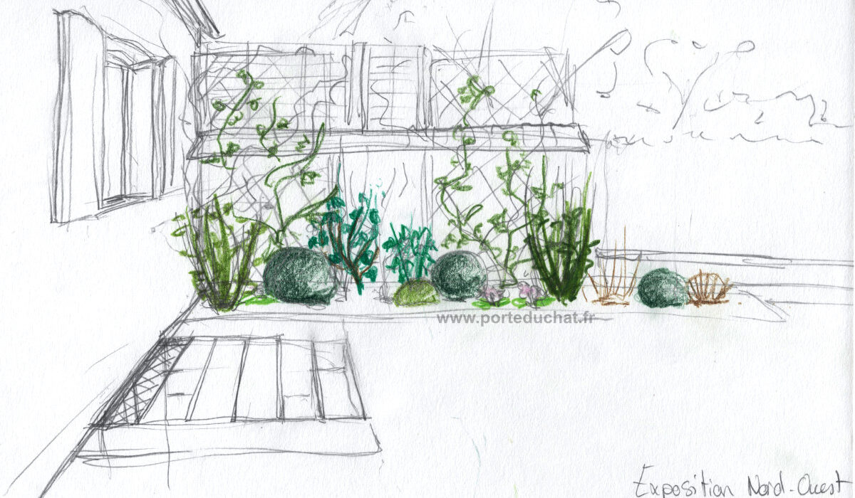 Dessin d'ambiance - Crayons de couleurs