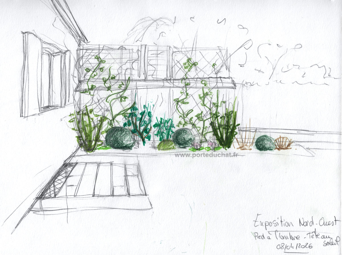 Dessin d'ambiance - Crayons de couleurs